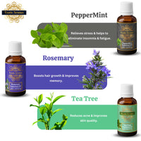 Exotic Aromas Essential Oil Lavender, Rose, Tea Tree, Jasmine, Ylang Ylang, Orange, Lemongrass, Peppermint, Rosemary, Pure & Natural (Pack of 9)