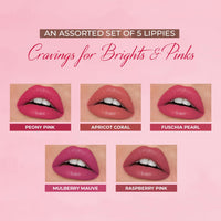 Just Herbs Eyeshadow Palette 9 in 1 Long Lasting Blendable Eye Makeup Palette (Sunshine - Day Palette) & Ayurvedic Liquid Lipstick Kit Set of 5, Brights & Pinks - Paraben & Silicon Free Combo