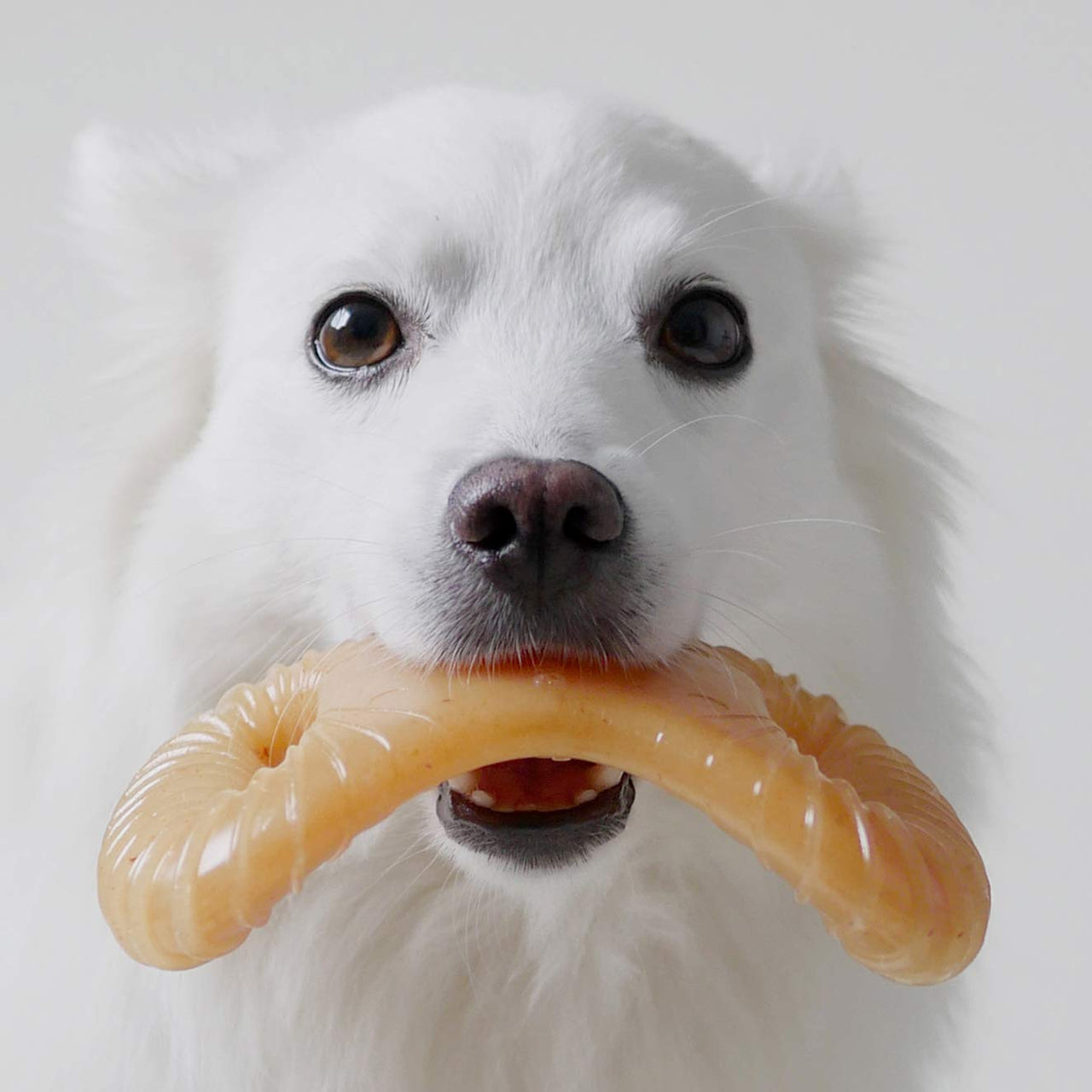 Benebone Dental Durable Dog Chew Toy for Aggressive Chewers, Real Chicken, Made in USA, Small