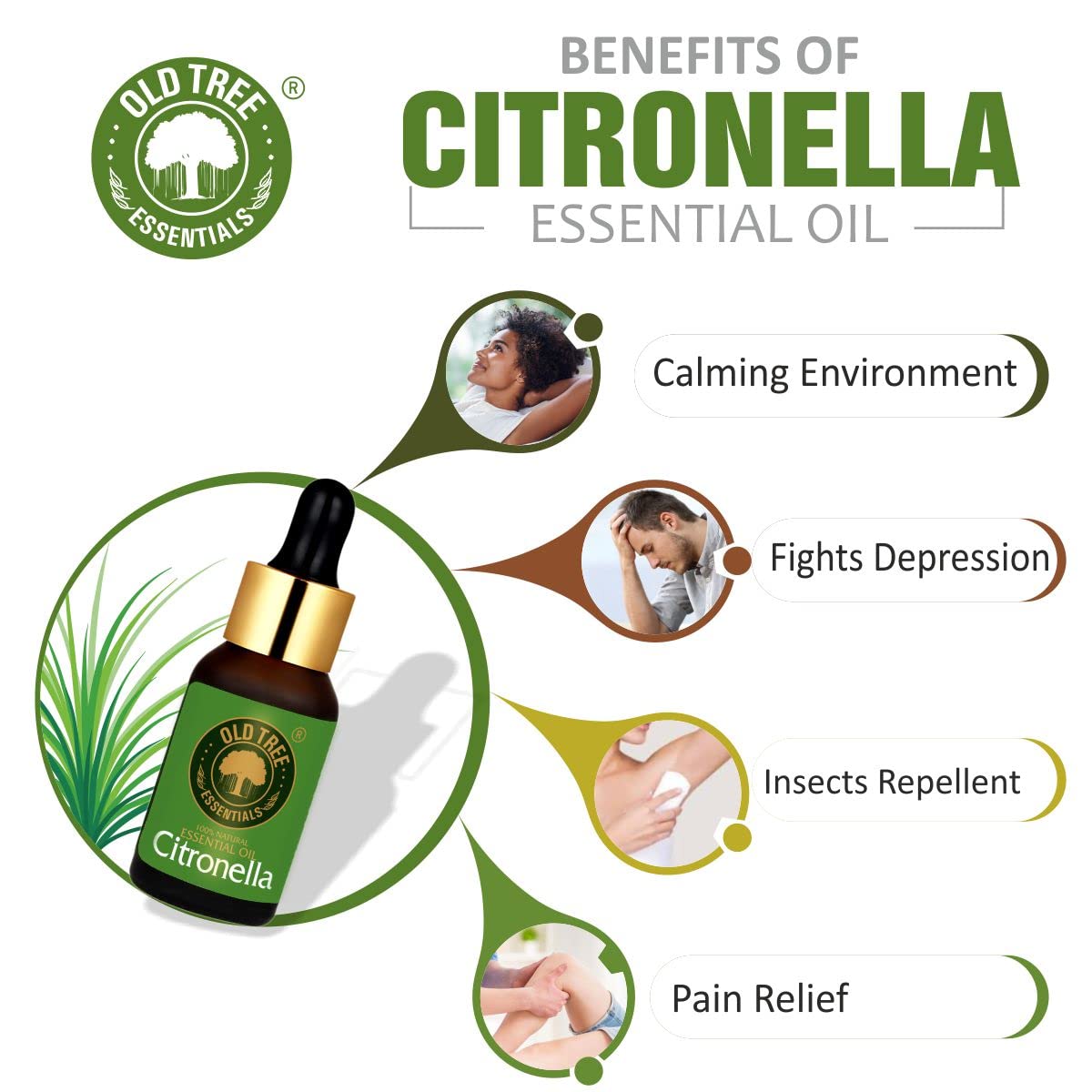 Old Tree Citronella Essential Oil (15ml) - for Skin, Hair Care and Aromatherapy - Pure, Natural and Undiluted Perfume Oil with Glass Dropper for Home Fragrance and Candle Making