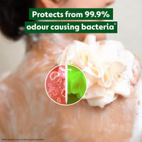 Dettol Body Wash and Shower Gel for Women and Men, Refresh - (Pack of 2-250ml each) | Soap-Free Bodywash | 12h Odour Protection