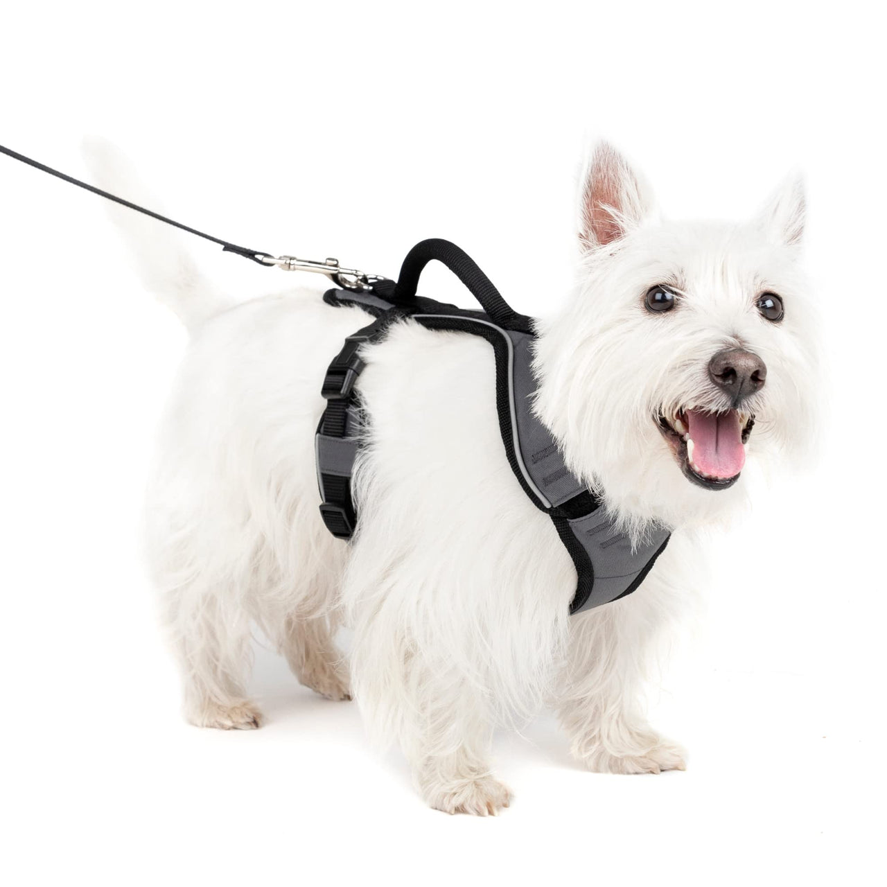 PetSafe EasySport Dog Harness - Padded, Adjustable Dog Harness with Control Handle and Reflective Piping - Great for Active Dogs - from The Makers of The Easy Walk Harness - Small, Charcoal