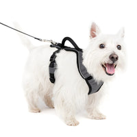 PetSafe EasySport Dog Harness - Padded, Adjustable Dog Harness with Control Handle and Reflective Piping - Great for Active Dogs - from The Makers of The Easy Walk Harness - Small, Charcoal