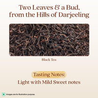 1868 by TATA Tea Darjeeling Rare Wonder Pyramid Tea Bags (15 Count), Pure Darjeeling Black Tea, Hand Rolled, Second Flush, Muscatel Flavour, From House of TATA