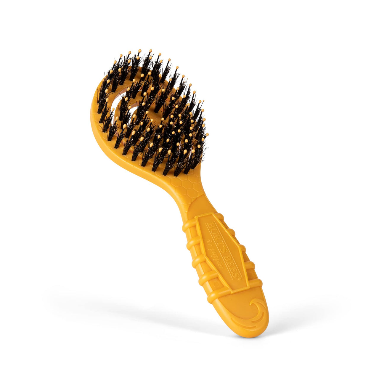 Burts Bees for Pets Porcupine Bristle Brush for Puppies and Small Dogs with Handle Made from Recycled Plastics Collected from Coastal Communities | Flex-head Grooming Brush for Dogs