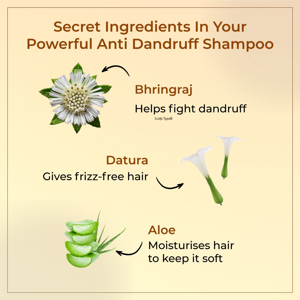 Vedix Ayurvedic Dandruff Care for Men |Taritha Anti HairFall Shampoo Customised For Normal Oily Hair -100ml