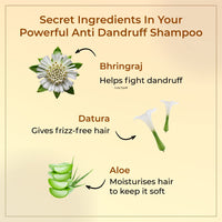 Vedix Ayurvedic Dandruff Care for Men |Taritha Anti HairFall Shampoo Customised For Normal Oily Hair -100ml