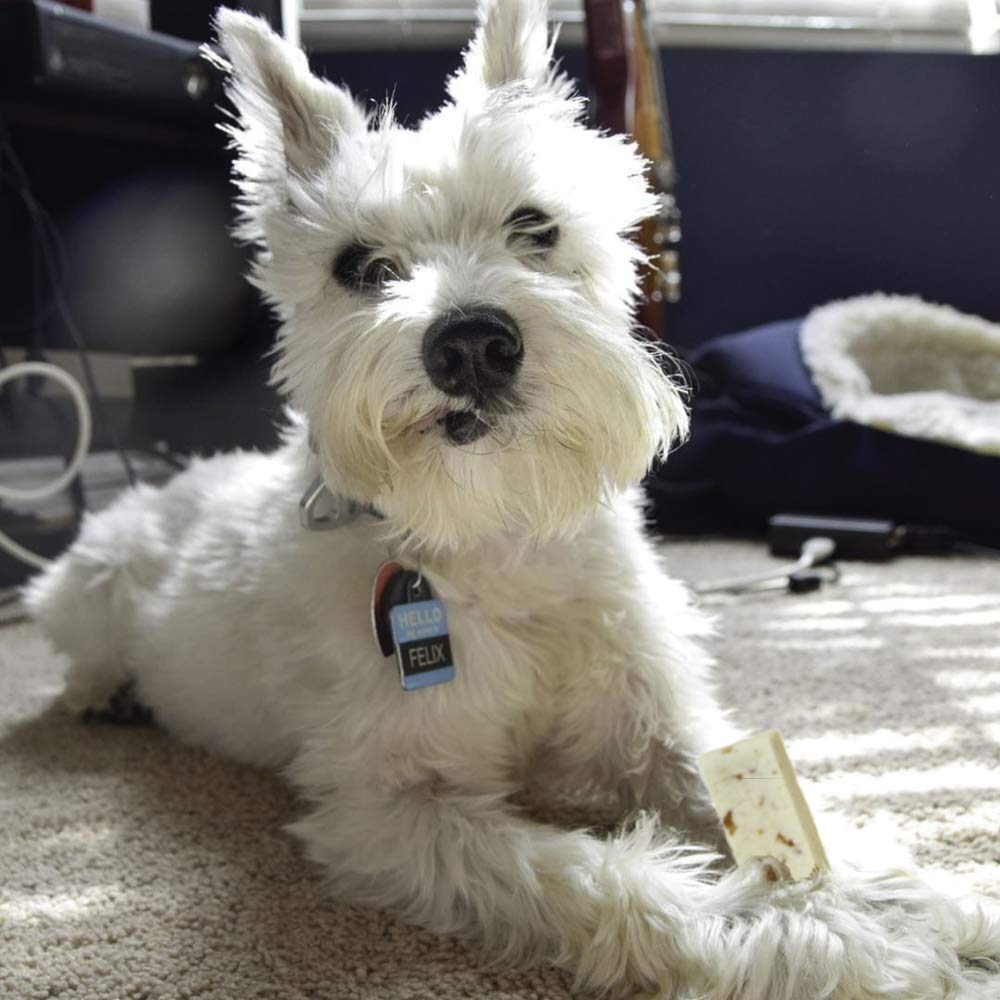 Himalayan Dog Chew Original Yak Cheese Dog Chews, 100% Natural, Long Lasting, Gluten Free, Healthy & Safe Dog Treats, Lactose & Grain Free, Protein Rich, Peanut Bits