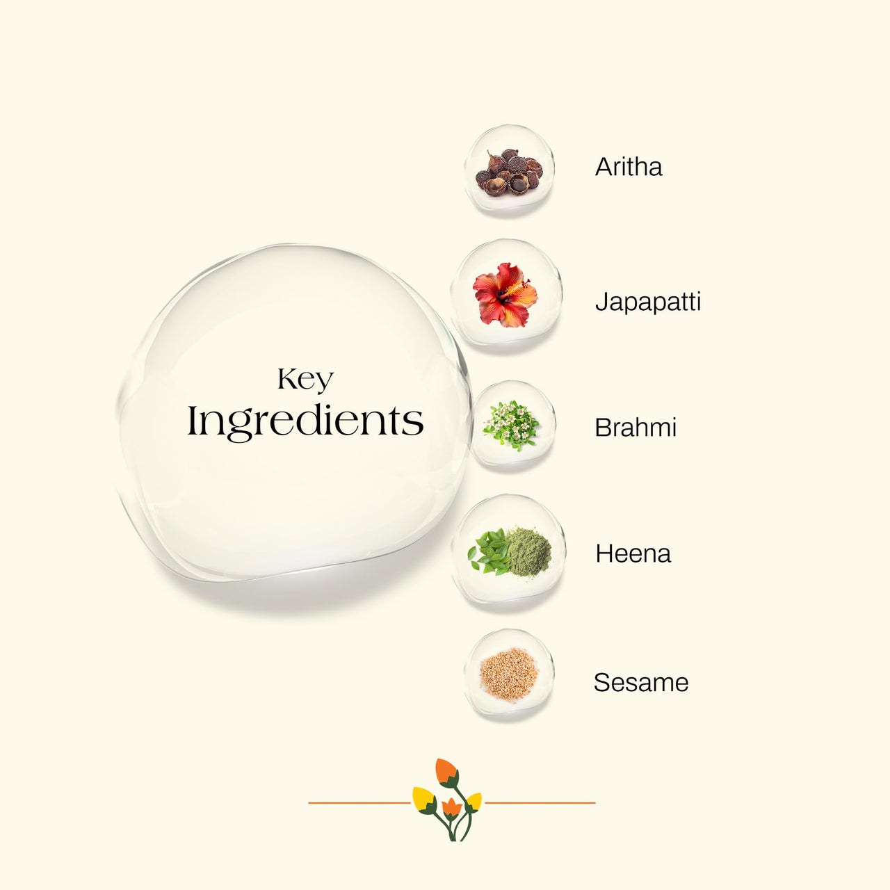 Ashpveda Japapatti & Brahmi Hair Wash for Dry Scalp & Damaged Hair Repair (100 ml)