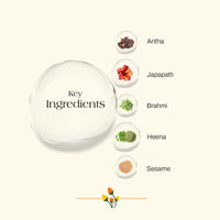 Ashpveda Japapatti & Brahmi Hair Wash for Dry Scalp & Damaged Hair Repair (100 ml)