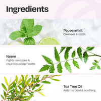 Manetain Co-Wash for Curly Hair - 200ml | 2 in 1 Shampoo & Conditioner | Non-foaming | Sulphate and Paraben Free | CG Friendly | Suitable for Dry and Frizzy Hair