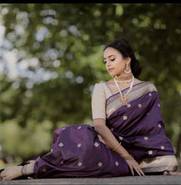 Avantika Fashion Women's  Soft Lichi Silk Banarasi Kanjivaram Saree With Blouse Piece