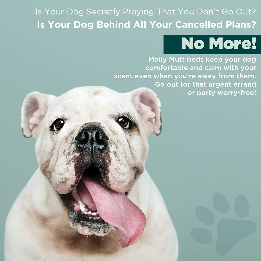 Molly Mutt Medium to Large Dog Bed Cover - Papillon Print - Measures 27x36x5 - 100% Cotton - Durable - Breathable - Sustainable - Machine Washable Dog Bed Cover