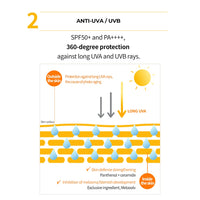 LANEIGE Radian-C SunCream SPF 50+ | Broad Spectrum UV PA++++ | Vitamin C Brightening Sunscreen | Light & Non-Greasy | No White Cast | Water Resistant | Suitable for All Skin | For Men & Women | 50ml