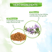 Mamaearth Rosemary Anti-Hair Fall Shampoo with Rosemary & Methi Dana for Reducing hair Loss & Breakage - 600 ml | Up to 94% Stronger Hair | Up to 93% Less Fall | Sulphate Free Shampoo | For Men and Women