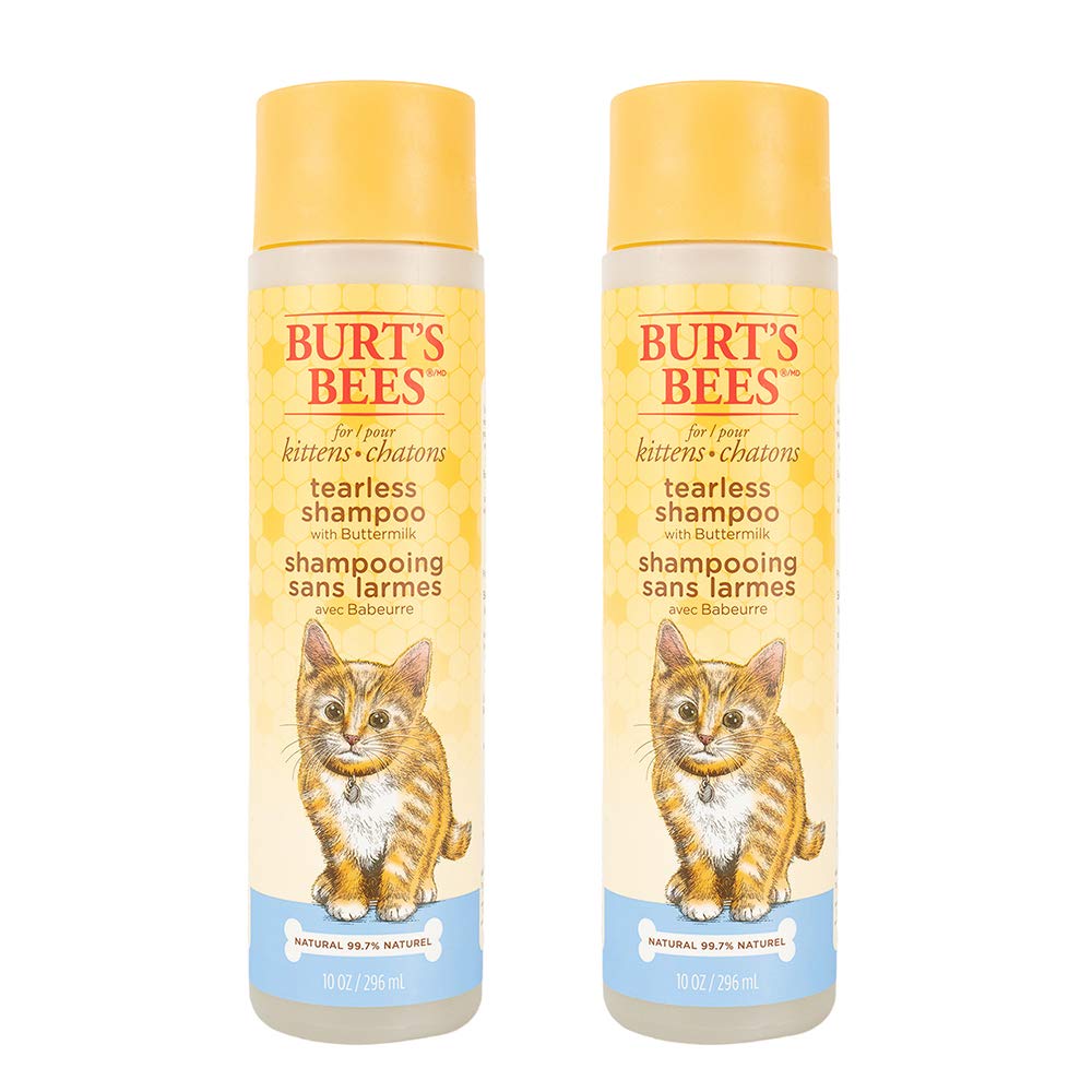 Burt's  Bees for Pets Kitten Natural Tearless Shampoo with Buttermilk | Cat Shampoo for All Cats & Kittens | Cruelty Free, Sulfate & Paraben Free, pH Balanced for Dogs - Made in USA, 10 oz - 2 Pack