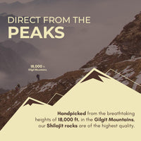 Rasayanam Pure Original Himalayan Shilajit/Shilajeet Resin 20g | Improve Strength & stamina for men & women | 4X Concentrated formula, Stronger Than Pills & Capsules