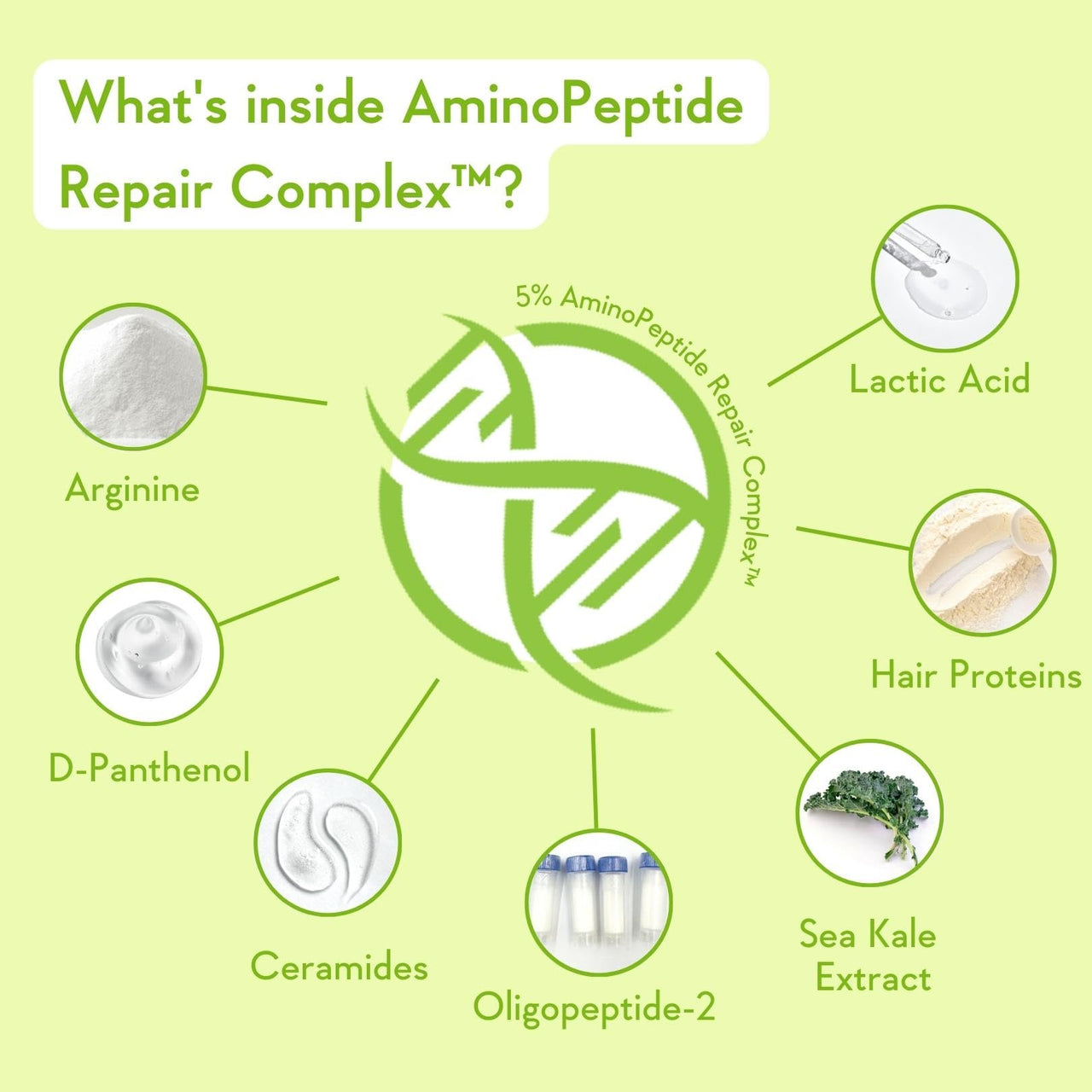 WishCare Triple Bond Repair Shampoo for Dry & Frizzy Hair - 5% AminoPeptide Complex & PCA - Repairs Damaged & Frizzy Hair 250ml