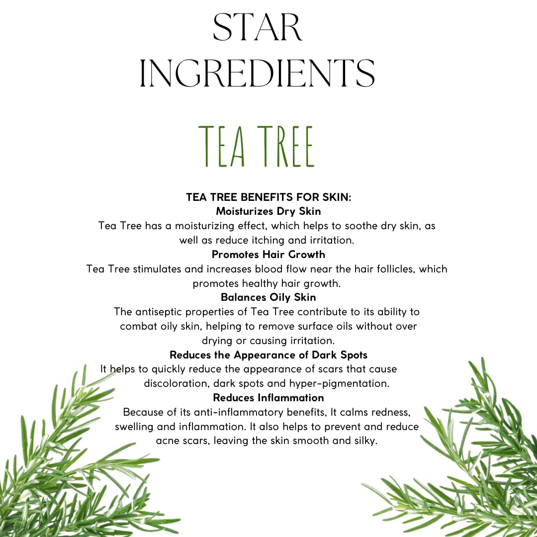 EcoBerry Pure Steam Distilled Teatree Hydrosol Toning Facial Mist For Oily Acne Prone Skin, Calms Redness, Breakouts, Restores Oil Balance, Suits Oily Skin, Natural, Chemical Free - 100 Ml