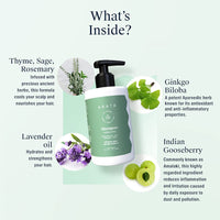 Arata Natural Hydrating Hair Shampoo (300ML) for Soft, Smooth Hair | Paraben and Sulphate Free for Damage Repair & Moisturization | Reduces Frizz, Split Ends with Ginkgo, Ginger & Indian Gooseberry