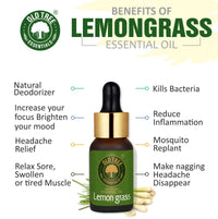 Old Tree Lemongrass Essential Oil (15ml) - for Skin, Hair Care, Insect Repellant, Home Fragrance and Aromatherapy - Pure and Natural Undiluted Oil with Glass Dropper