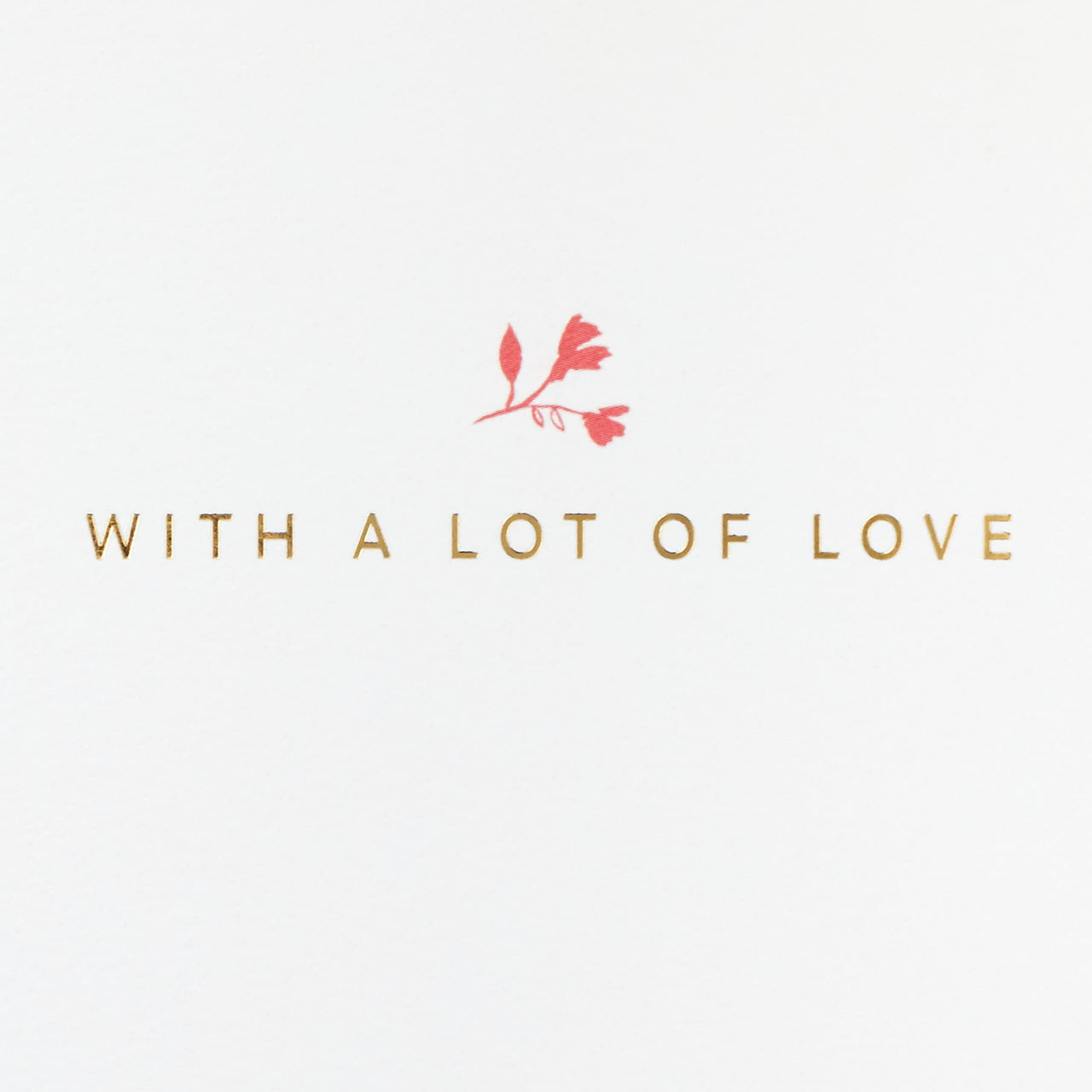 Hallmark Signature Pack of 4 Birthday Cards (Birthday Wish) Birthday Wish