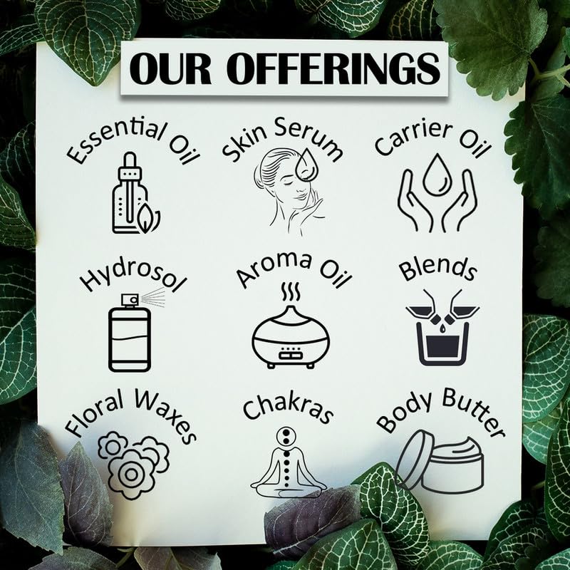 Deve Herbes Pure Benzoin Essential Oil (Styrax benzoin) Steam Distilled 15ml