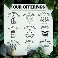 Deve Herbes Pure Jatamansi (Spikenard) Essential Oil (Nardostachys jatamansi) Steam Distilled 2ml