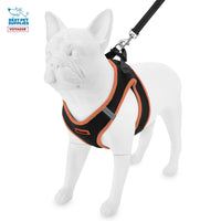 Voyager Step-in Air All Weather Mesh Harness and Reflective Dog 5 ft Leash Combo with Neoprene Handle, for Small, Medium and Large Breed Puppies by Best Pet Supplies - Black/Orange Trim, Small Harness Leash Bundle (Black/Orange Trim)