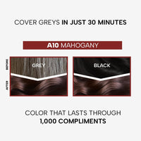 Berina Professional | Permanent Hair Color Cream | 60gm | A10 Mahogany | Long Lasting Color