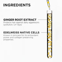 Kérastase Genesis Hair Fall Conditioner 200ml | Anti-Hair Fall Conditioner Suitable for All Hair Types | Infused with Ginger Root and Edelweiss Native Cells