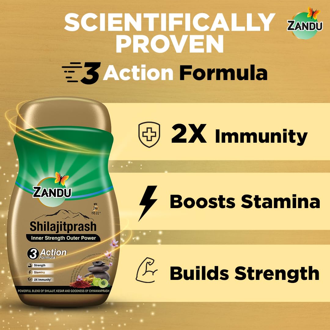 Zandu Shilajitprash, combination of Shilajit and selected herbs of Chyawanpash, a powerhouse of 47 potent Ayurvedic herbs | 3 Action formula to boost strength, stamina & immunity | 900 Gm
