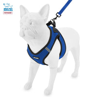 Voyager Step-in Air All Weather Mesh Harness and Reflective Dog 5 ft Leash Combo with Neoprene Handle, for Small, Medium and Large Breed Puppies by Best Pet Supplies - Royal Blue/Black Trim, Small