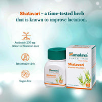 Himalaya Pure Herbs Shatavari Women's  Wellness Tablets, Promotes lactation, White, 60 Count
