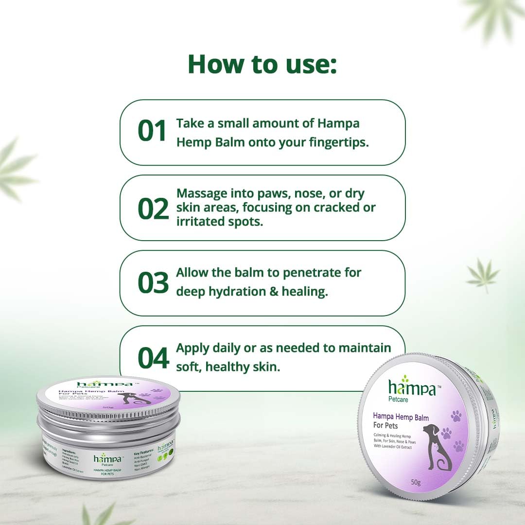 Hampa Hemp Balm for Pets 50g | Nourishing and Moisturizing Balm for Dogs & Cats | Soothes Dry, Cracked Skin, Paws, & Nose | Natural Ingredients with Hemp Seed Oil, Lavender Oil & Biotin