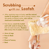 Nat Habit Natural Sun Dried Bath Loofah, Body Sponge & Scrubber for Men & Women | Organic Luffa for Bath Shower Skin Exfoliation (Pack of 4)