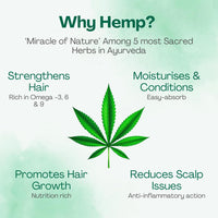 Hampa Nutraelixir Floral Conditioner 200Ml For Frizz And Tangle Free Hair, Naturally Smooth And Shiny, With Hemp, Hibiscus,Fenugreek & Chamomile-No Toxin-Sulphate, Paraben And Silicone Free, 1 Count