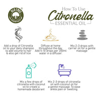 Old Tree Citronella Essential Oil (15ml) - for Skin, Hair Care and Aromatherapy - Pure, Natural and Undiluted Perfume Oil with Glass Dropper for Home Fragrance and Candle Making