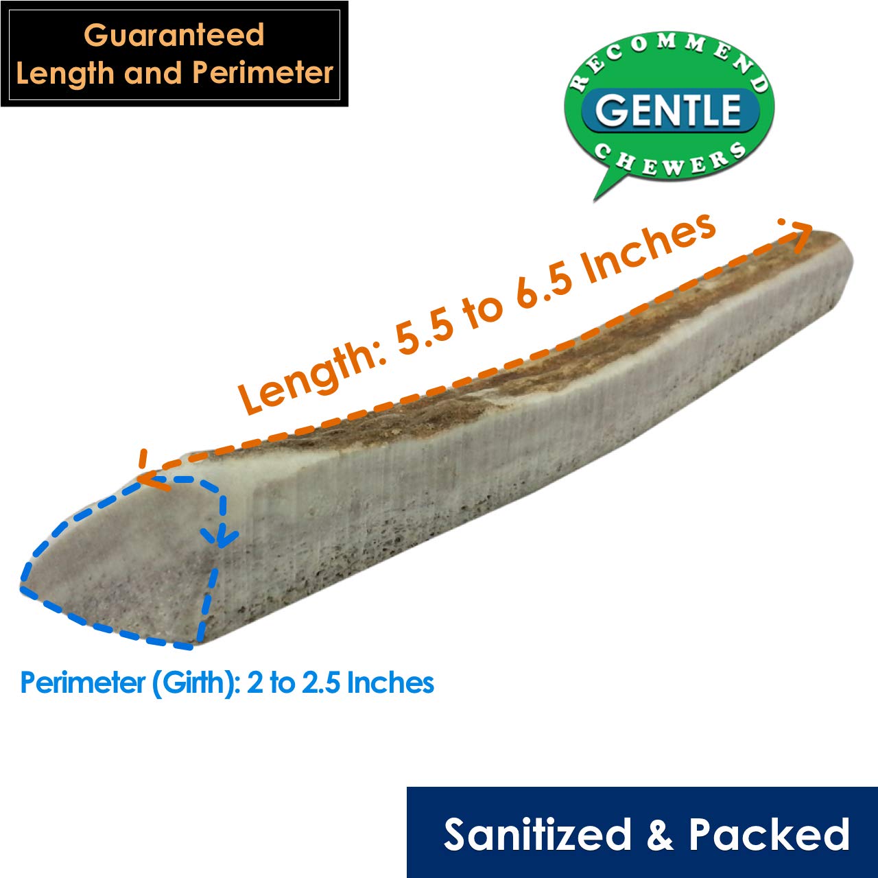 Elk Antler Chews for Dogs | Naturally Shed USA Collected Elk Antlers | All Natural A-Grade Premium Elk Antler Dog Chews | Product of USA, 5-Pack Small Split 5 Count (Pack of 1)