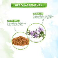 Mamaearth Rosemary Anti-Hair Fall Shampoo With Rosemary & Methi Dana For Reducing Hair Loss & Breakage- 20 Ml|Up To 94% Stronger Hair*|Up To 93% Less Hair Fall|For Men And Women