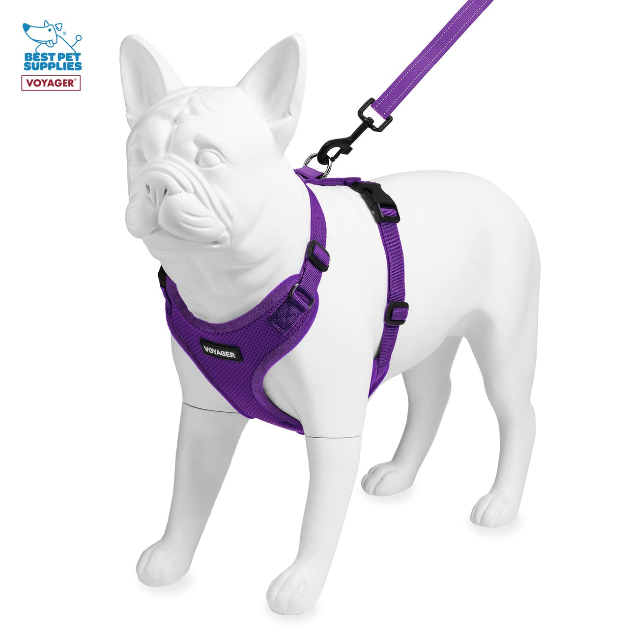 Voyager Step-in Lock Dog Harness w Reflective Dog Leash Combo Set with Neoprene Handle 5ft - Supports Small, Medium and Large Breed Puppies/Cats by Best Pet Supplies - Purple, M Harness Leash Set (Purple) M (Chest: 17 - 21")