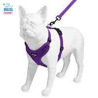 Voyager Step-in Lock Dog Harness w Reflective Dog Leash Combo Set with Neoprene Handle 5ft - Supports Small, Medium and Large Breed Puppies/Cats by Best Pet Supplies - Purple, M Harness Leash Set (Purple) M (Chest: 17 - 21