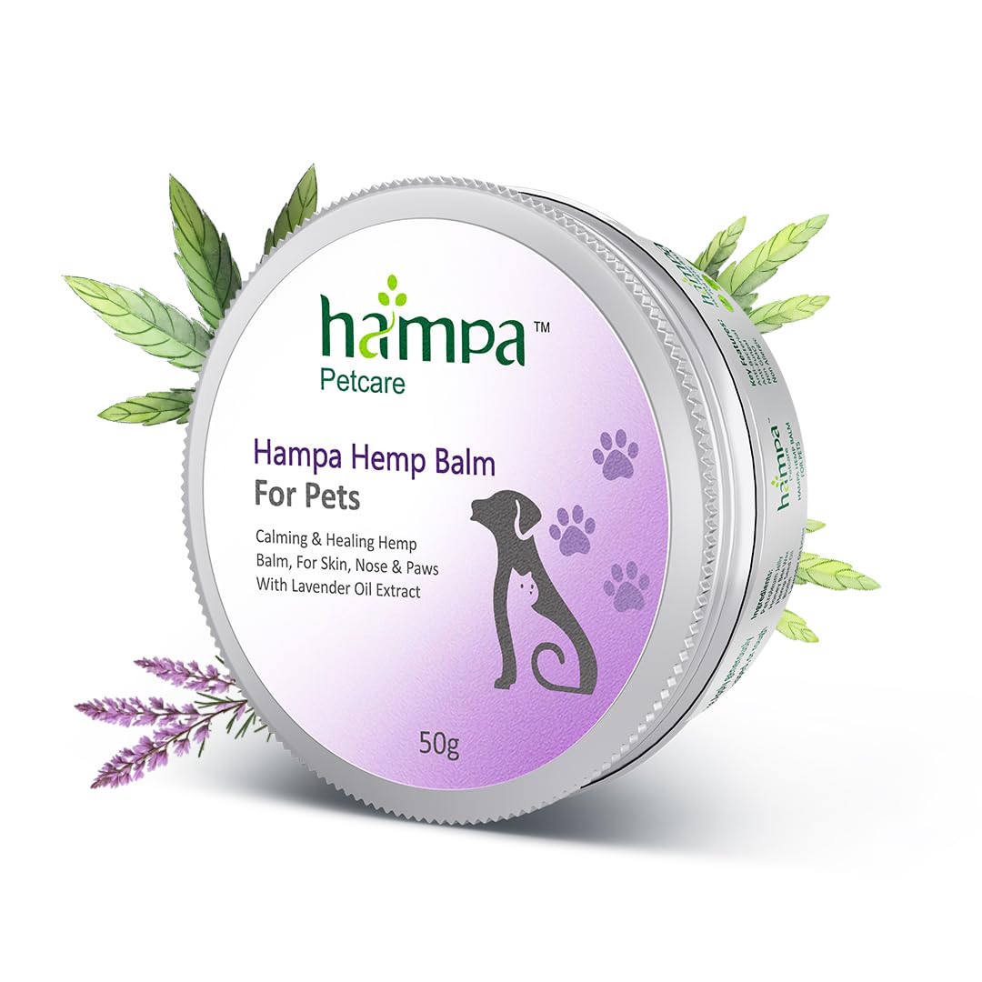 Hampa Hemp Balm for Pets 50g | Nourishing and Moisturizing Balm for Dogs & Cats | Soothes Dry, Cracked Skin, Paws, & Nose | Natural Ingredients with Hemp Seed Oil, Lavender Oil & Biotin