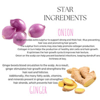 EcoBerry Onion Ginger Organic Herbal Shampoo With Red Onion & Ginger Extracts, Sulphate Free, Paraben Free, Chemical Free, Cruelty Free, Preservative Free, Vegan