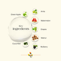 Ashpveda Fruit Face Scrub (Date and Walnut) Face Scrub for Deep Exfoliation | Helpful for Dead Skin, Smooth and Clear Complexation and Tan Removal | Hydrating & Exfoliating For Women and Men (50gm)