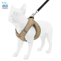 Voyager Step-in Plush Dog Harness – Soft Plush, Step in Vest Harness and Reflective Dog 5 ft Leash Combo with Neoprene Handle for Small and Medium Dogs by Best Pet Supplies -Set (Latte Suede), M Harness Leash Set (Latte Suede) M (Chest: 16 - 18