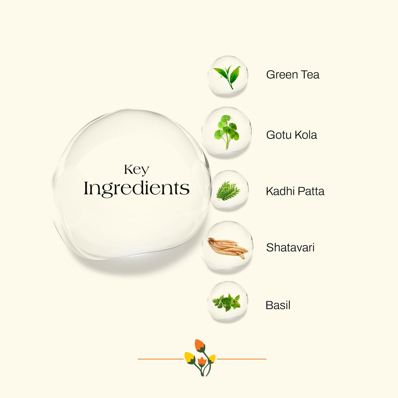 Ashpveda Gotu Kola and Green Tea Hair Wash Shampoo - Promotes Healthy, Silky-Smooth Hair - Natural Ingredients For Dandruff & Frizz Control (100 ml)