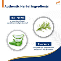 Himalaya Anti Dandruff Shampoo With Tea tree Removes dandruff & soothes sclap, 1 ltr
