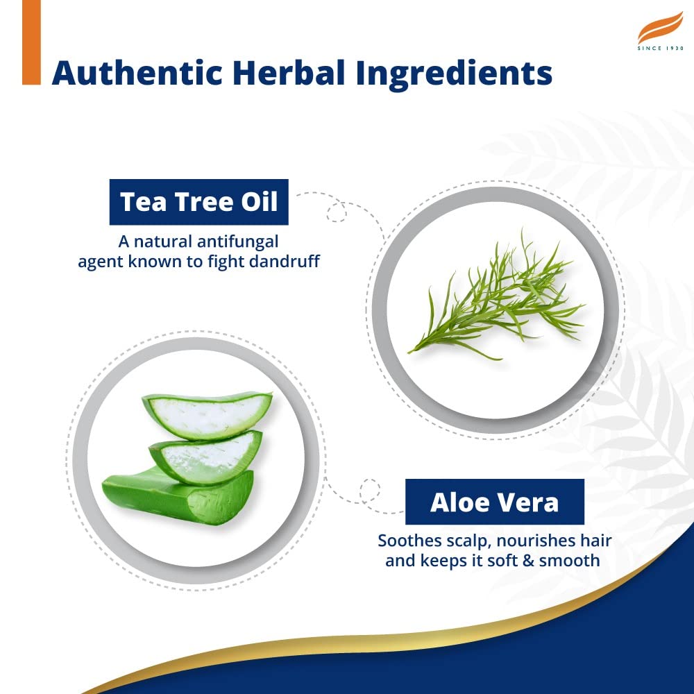 Himalaya Anti-Dandruff Tea Tree Shampoo, Removes up to 100% Dandruff, Soothes Scalp & Nourishes Hair, with Tea Tree oil and Aloe Vera, for men and women, 340ml