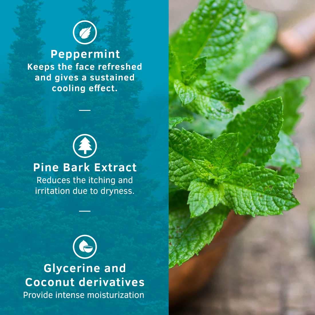 Ustraa Face Wash - Mint Cool - For Dry to Normal Skin - 200g x 2 (Set of 2) | Reduces Moisture Loss | Removes Dirt & Dead Skin | with Pine Bark & Peppermint | NO SLS, NO PARABEN